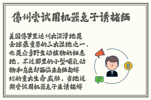 五月丁香六月吗综合网